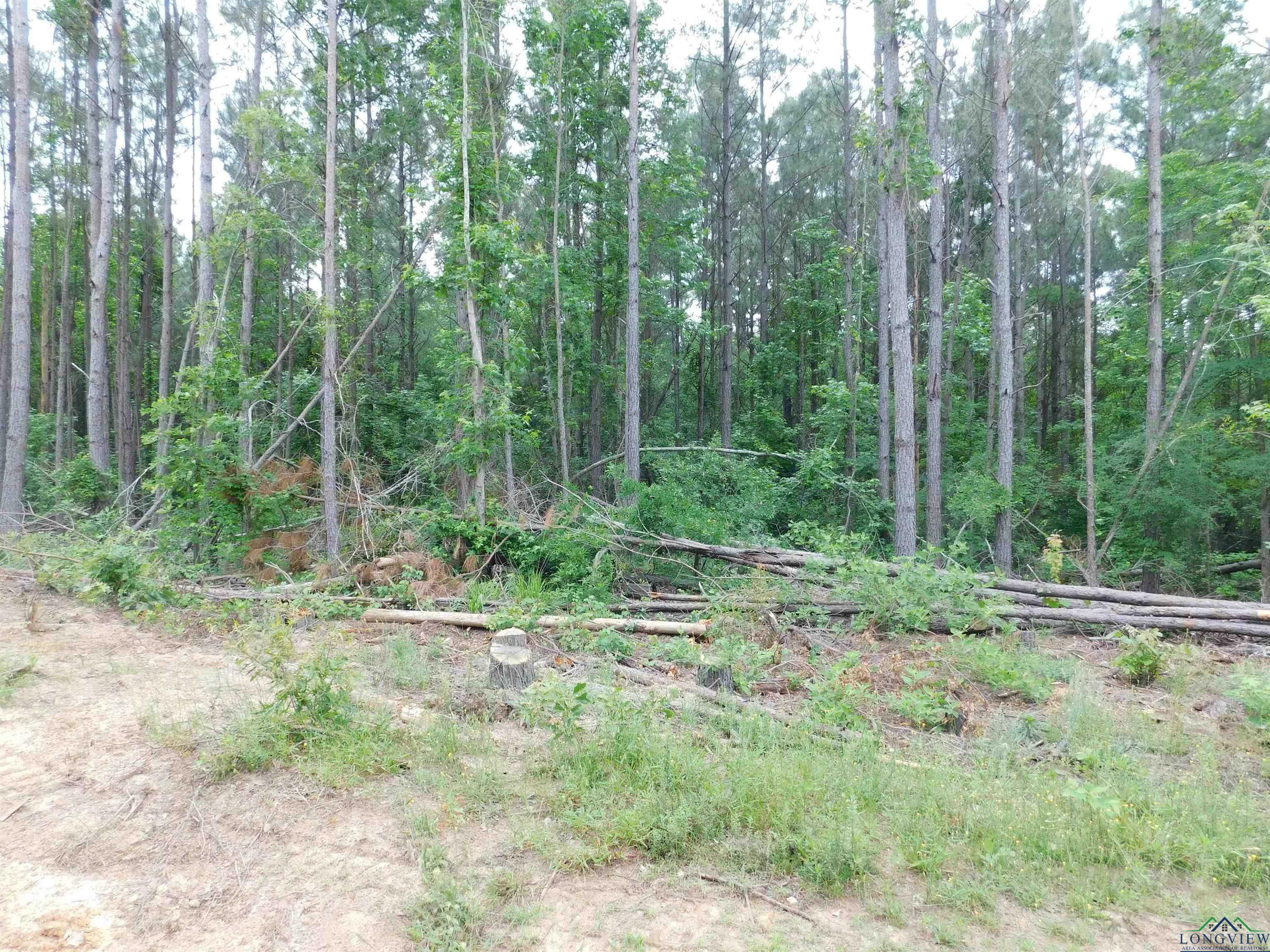 Property Photo: Tbd Megan Mills Rd TX 75644