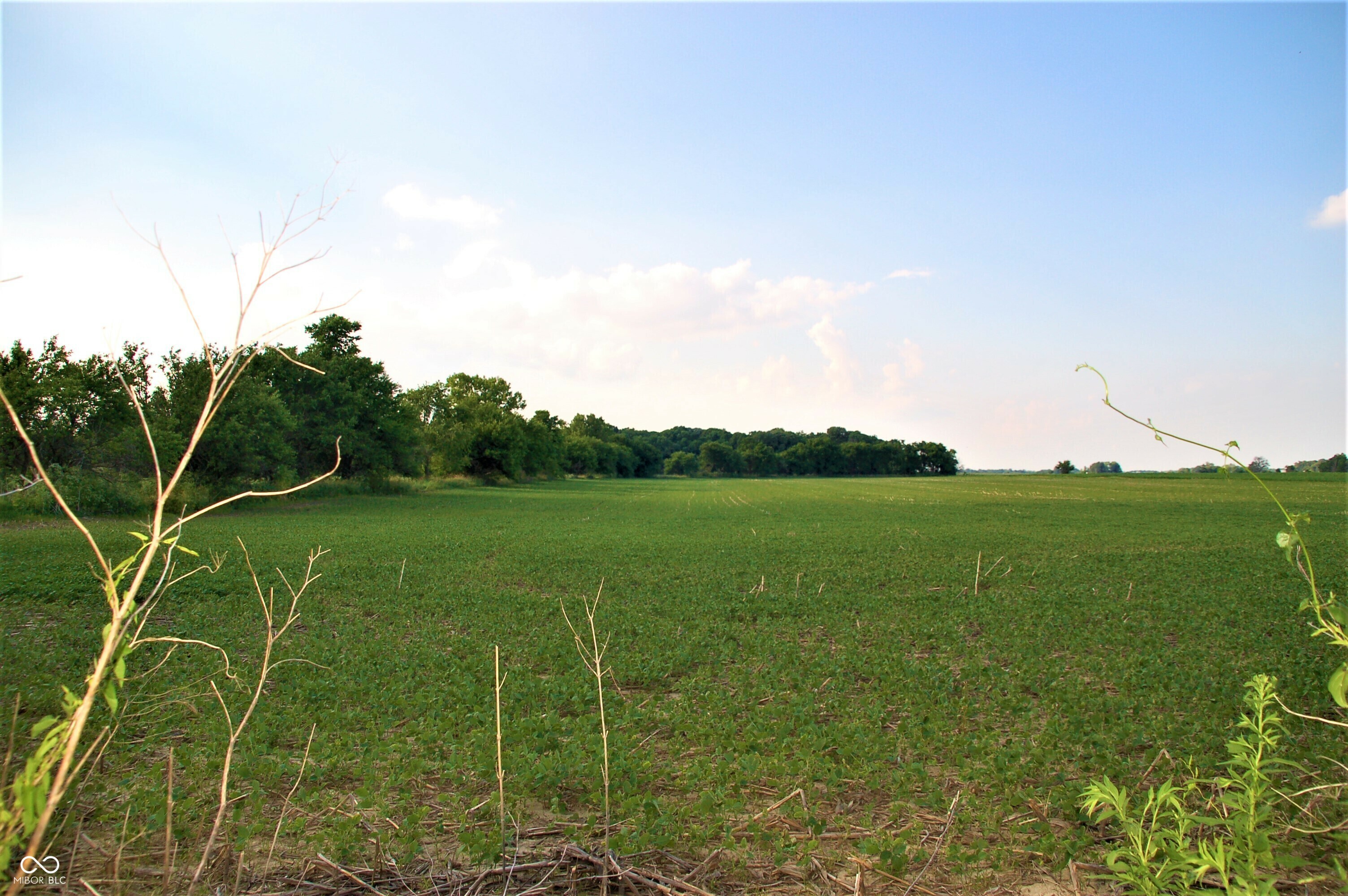 Property Photo: 10188 E State Road 47 IN 46069