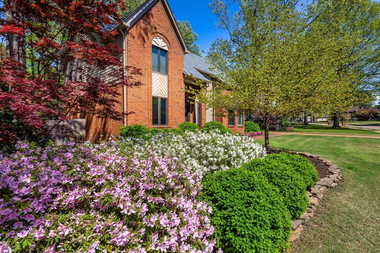 Property Photo: 8494 Woodlane Dr TN 38138