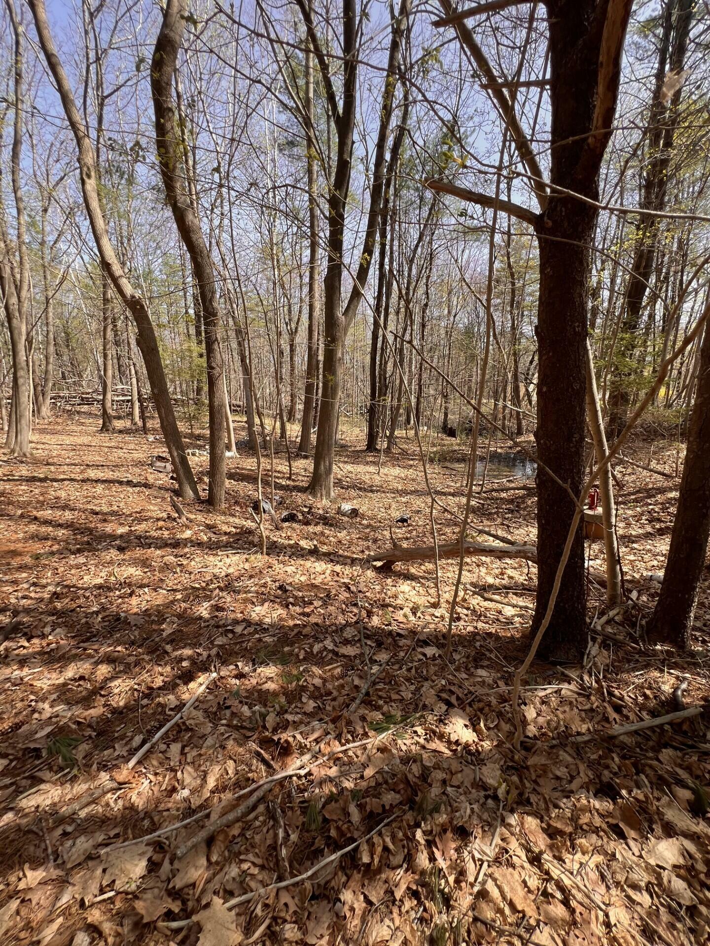 Property Photo: Tbd Old Orchard Road ME 04072