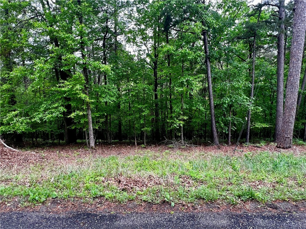 Property Photo: Lot 957 Spruce Drive AR 72756
