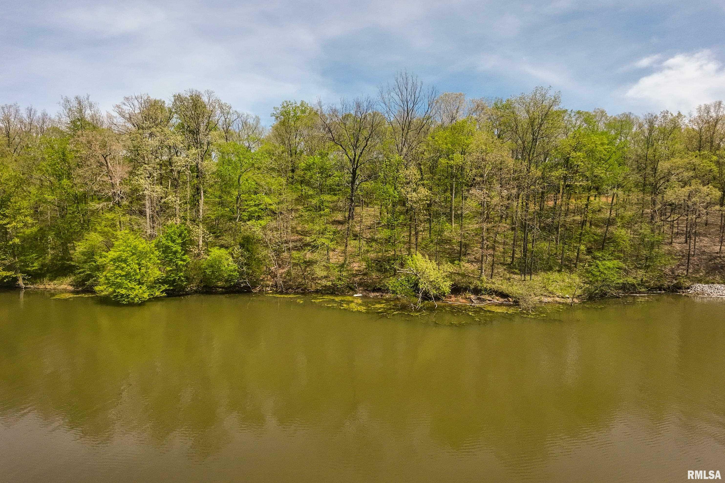 Property Photo: Lot 142 &Amp 143 Cherry Point IL 62939