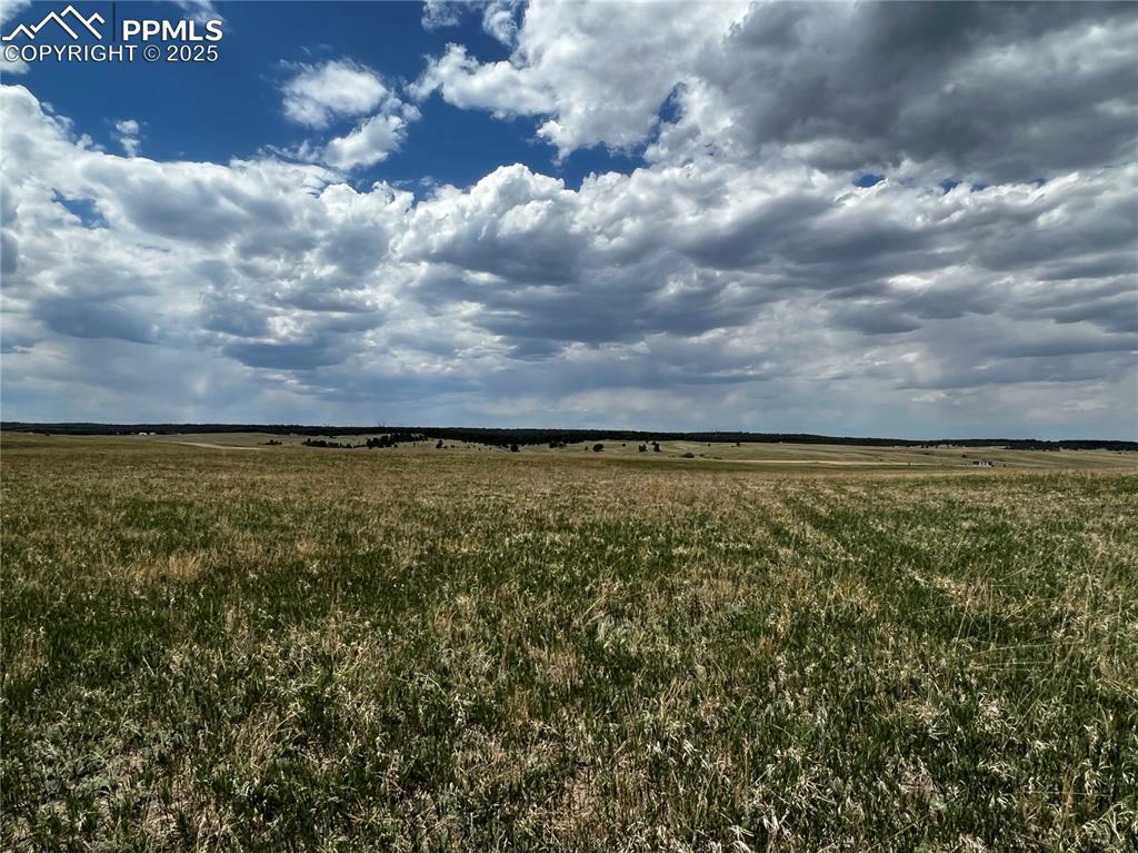 Property Photo: 11970 Woodridge Terrace CO 80908