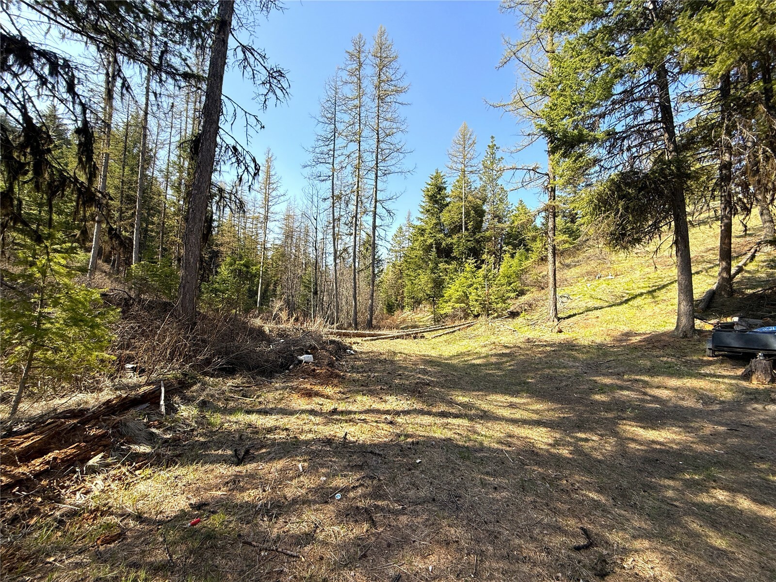 Property Photo: 0 Tbd Give Out Creek Road WA 98859
