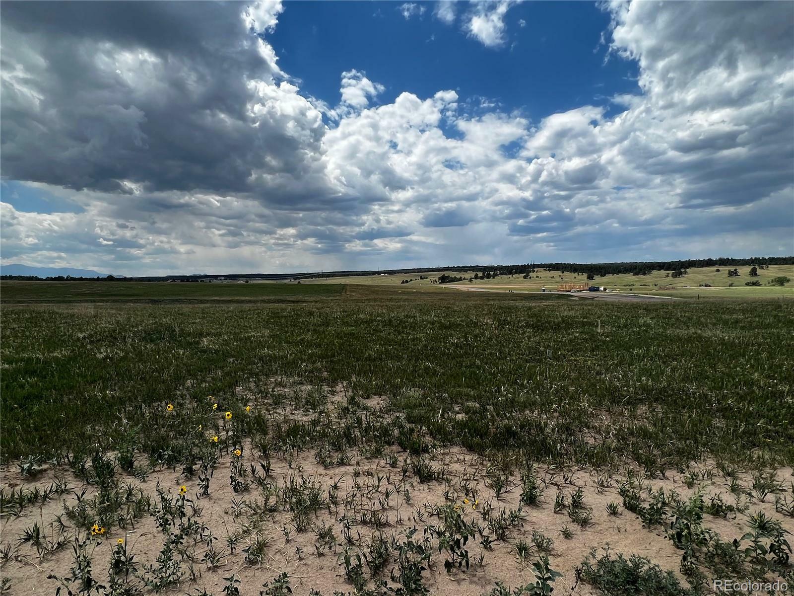 Property Photo: 16990 Early Light Drive CO 80908