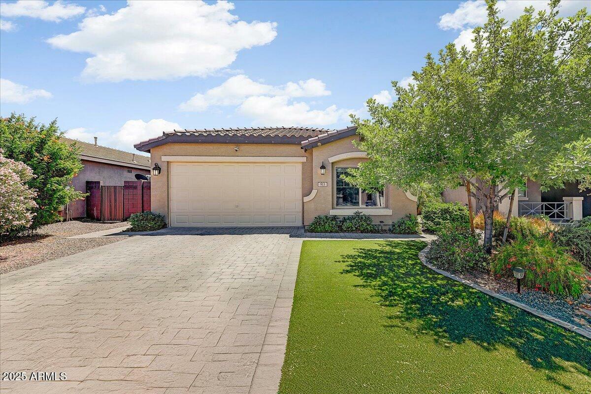 913 W Leadwood Avenue  Queen Creek AZ 85140 photo