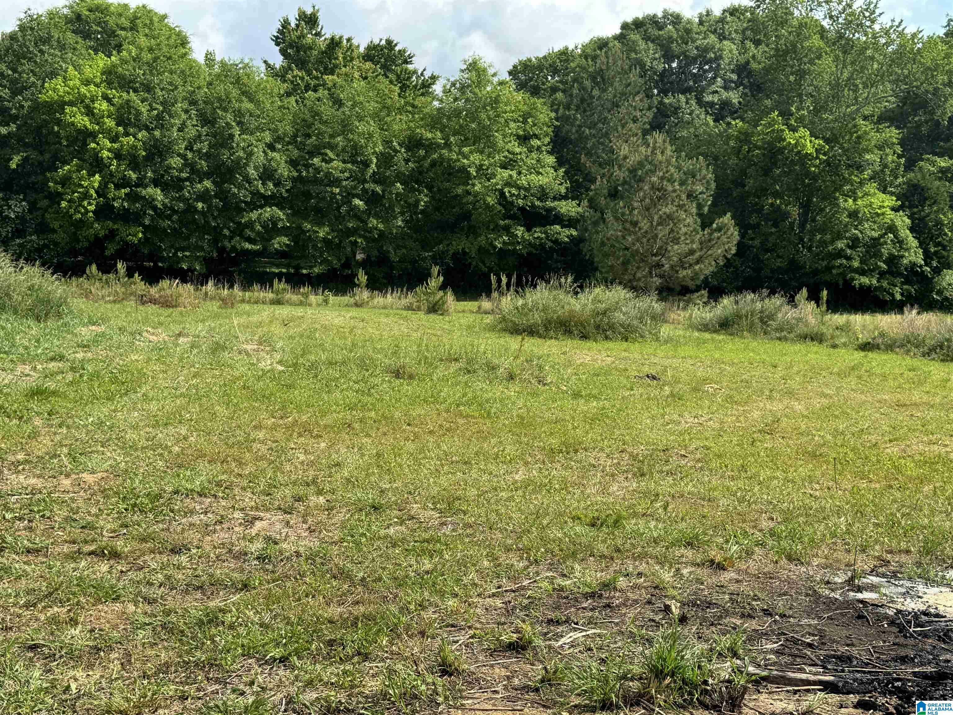 Property Photo: 136 Dewey Lane 4 AL 36202