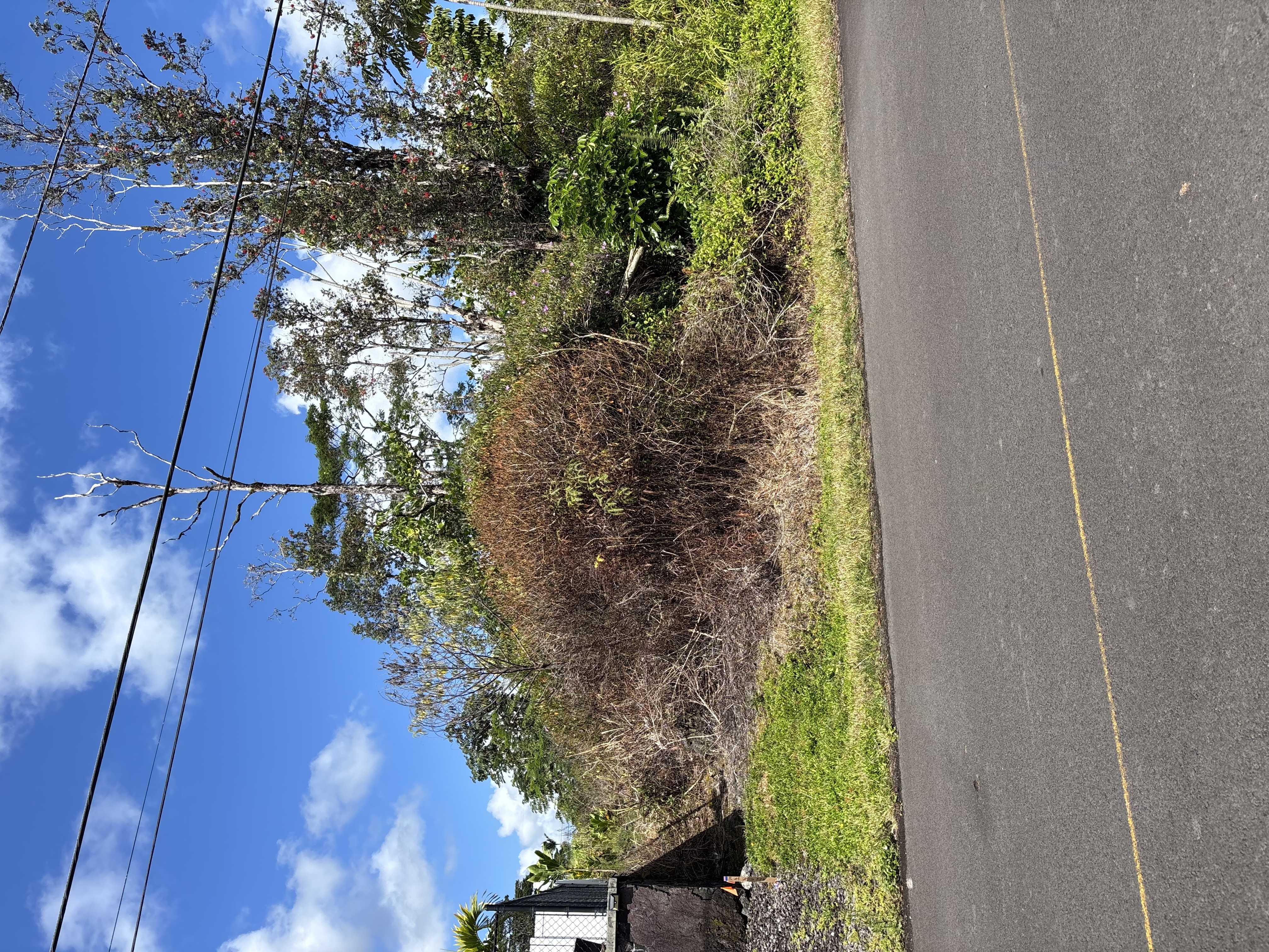 Property Photo:  Lehua Dr  HI 96778 