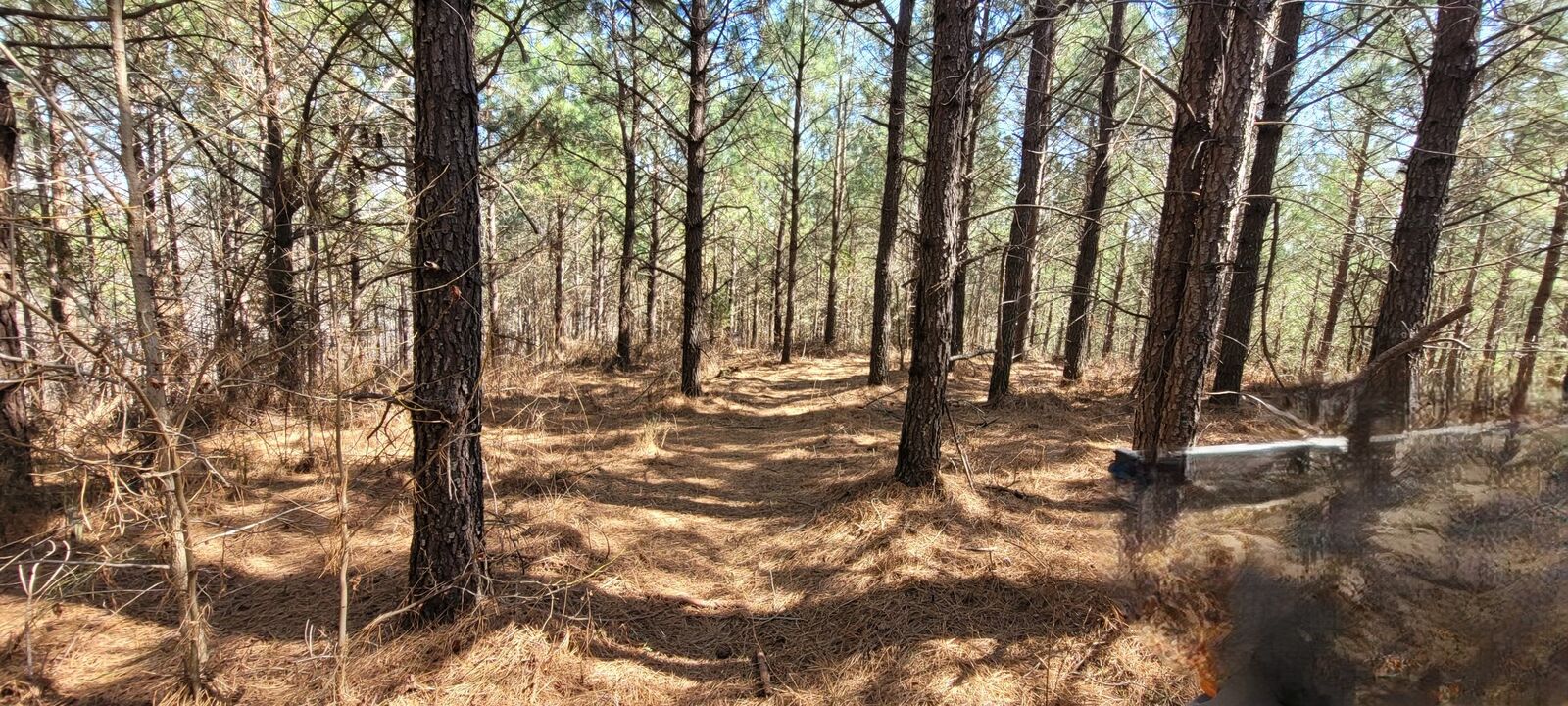 Property Photo:  1 Saddleback Dr  TN 37058 