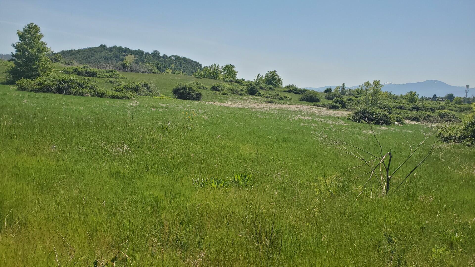 Property Photo: 0 Crater Lake Avenue 11.27 OR 97504