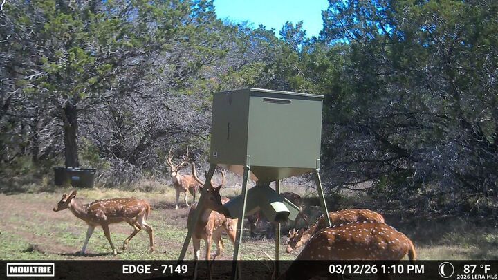 Property Photo:  Tbd 37 Acres Elm Pass  TX 78003 