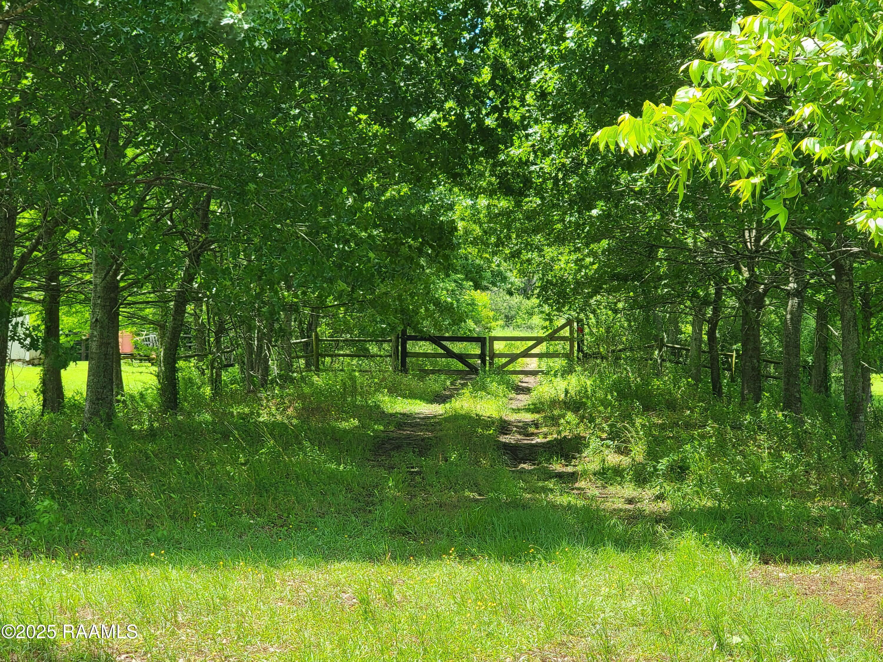 Property Photo: Tbd Hypolite Miller Road LA 70584