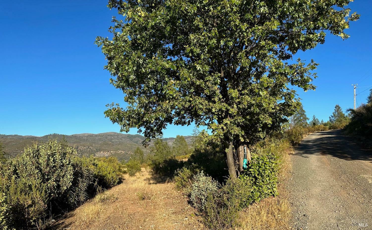 Property Photo: 1725 Clover Valley Road CA 95485
