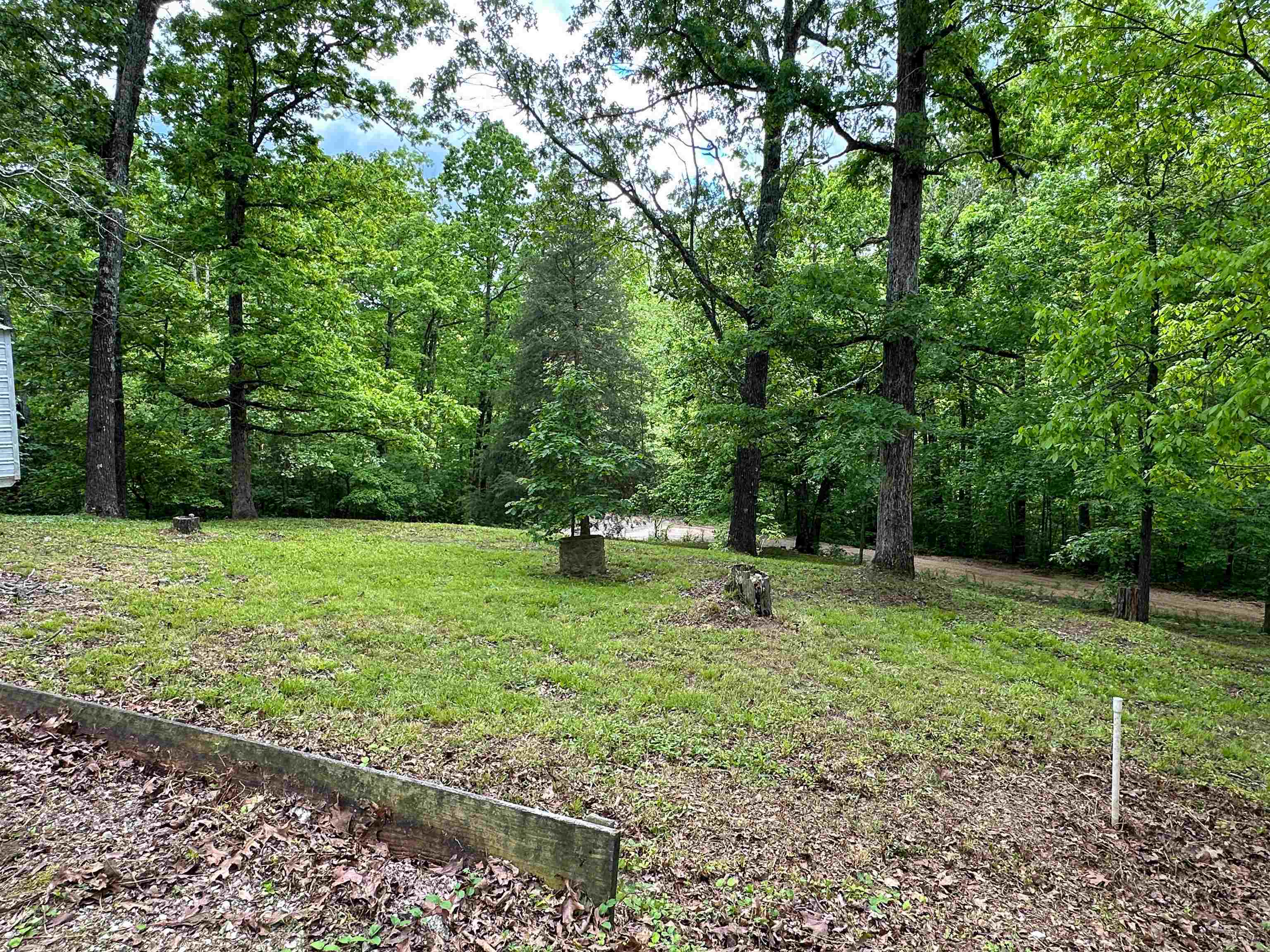 Property Photo: 36 Buckskin Lane AR 72542