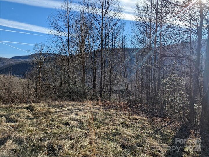 Property Photo: 117 Ironwood Lane C-20 NC 28711