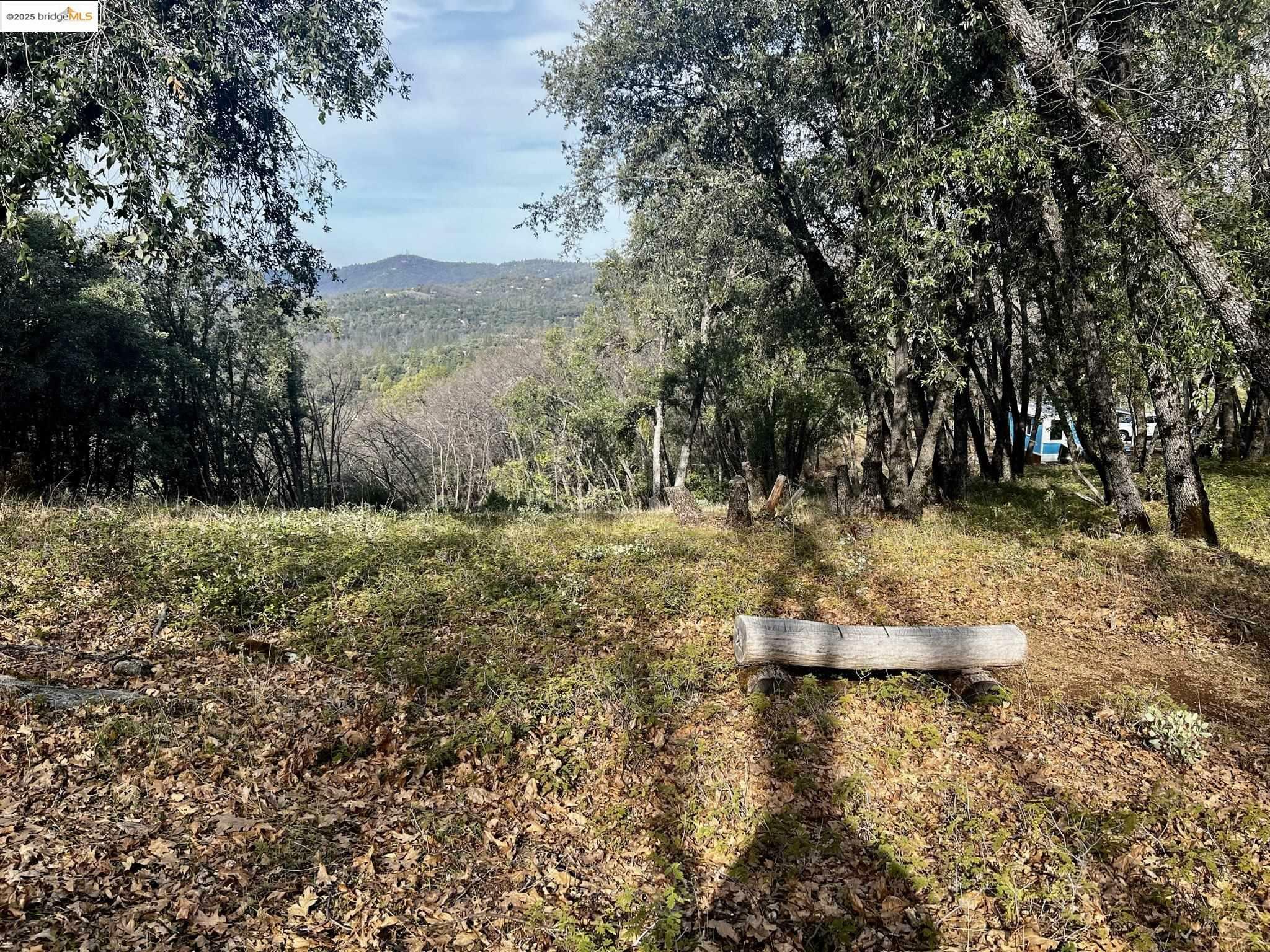 17401 Deer Park Court  Sonora CA 95370 photo