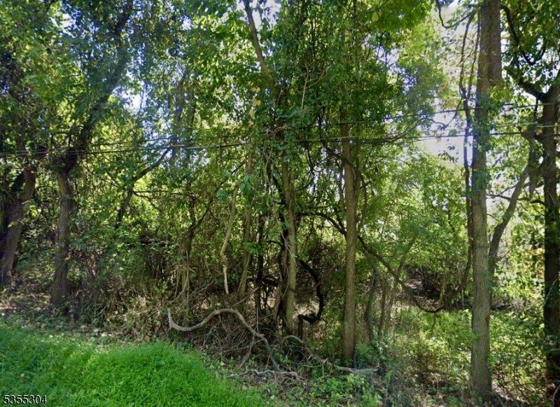 111 Buffalo Hollow Rd  Lebanon Twp. NJ 08826 photo