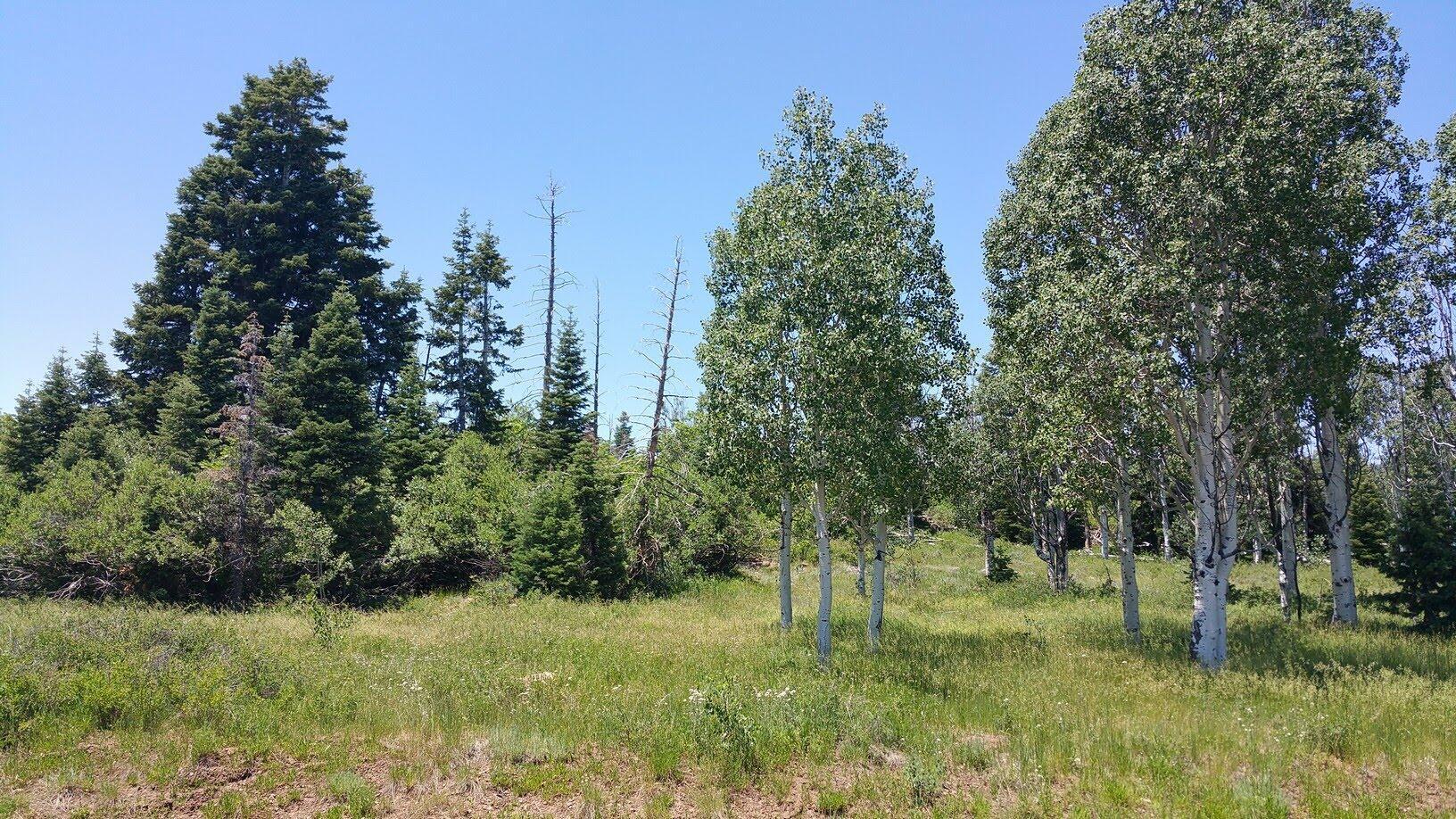 Property Photo: 271 N Whispering Pines Rd UT 84779