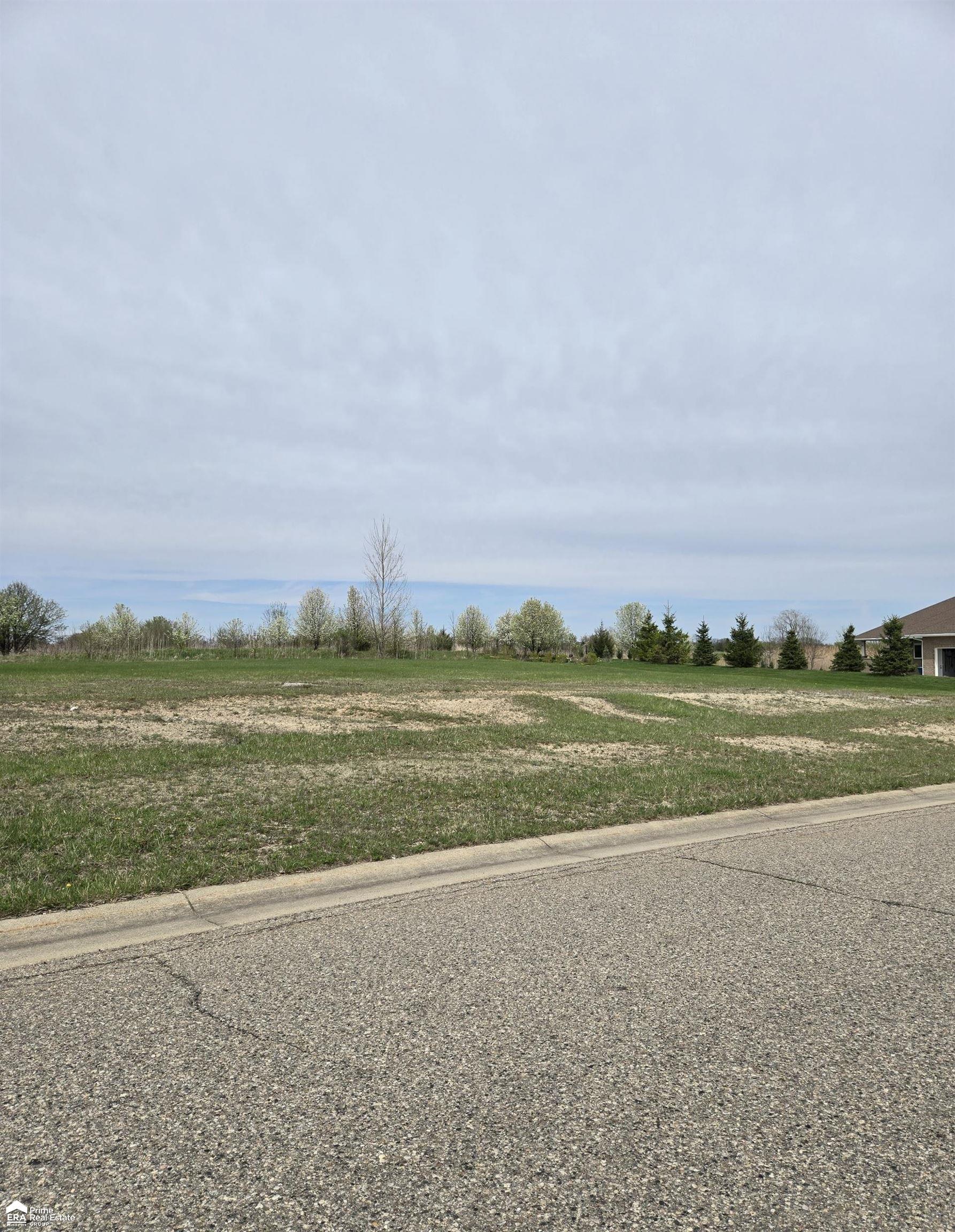 Property Photo:  17178 Kings Fairway Street  MI 48439 