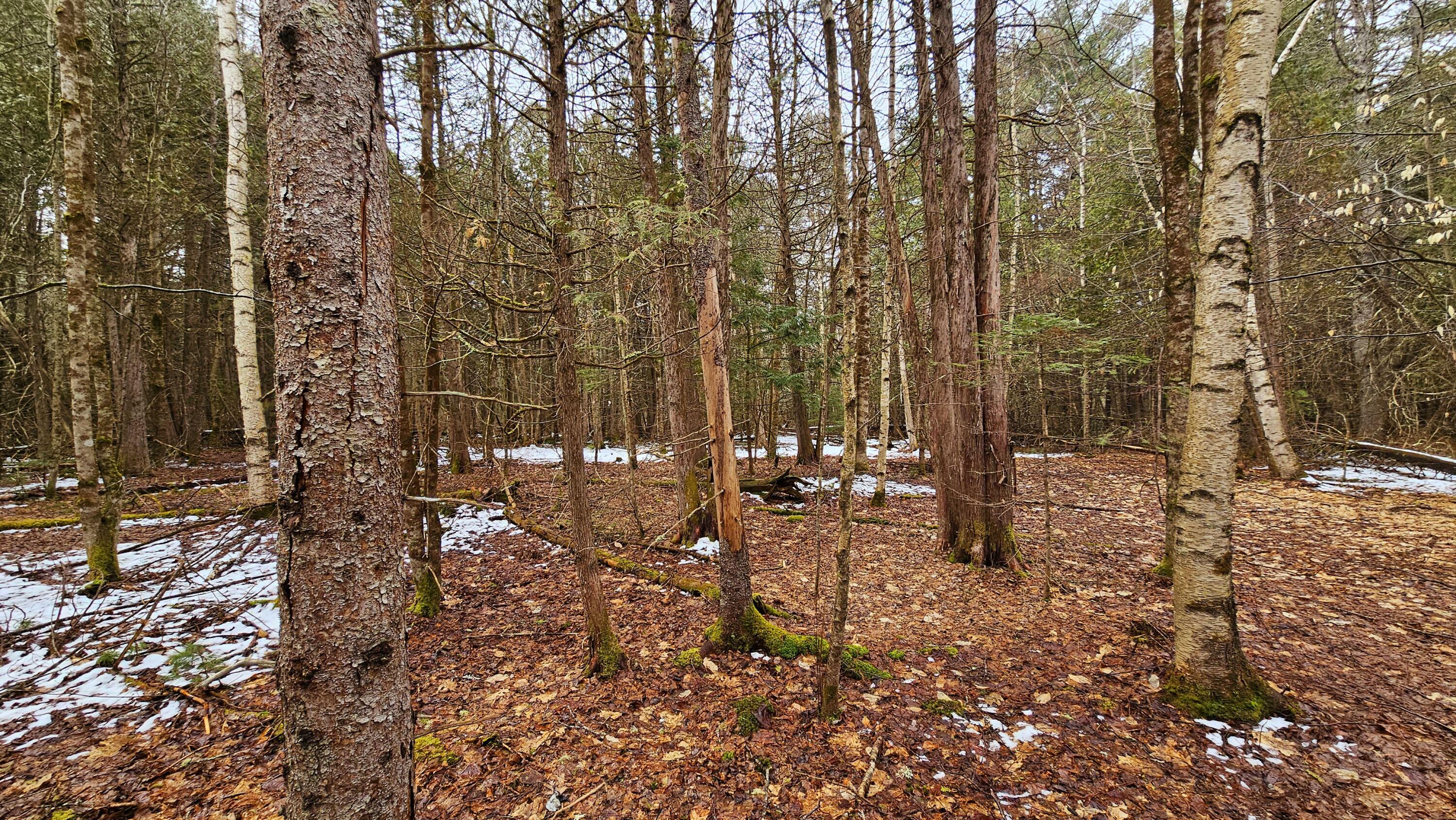 Property Photo: Lot 8 Murray Road ME 04953