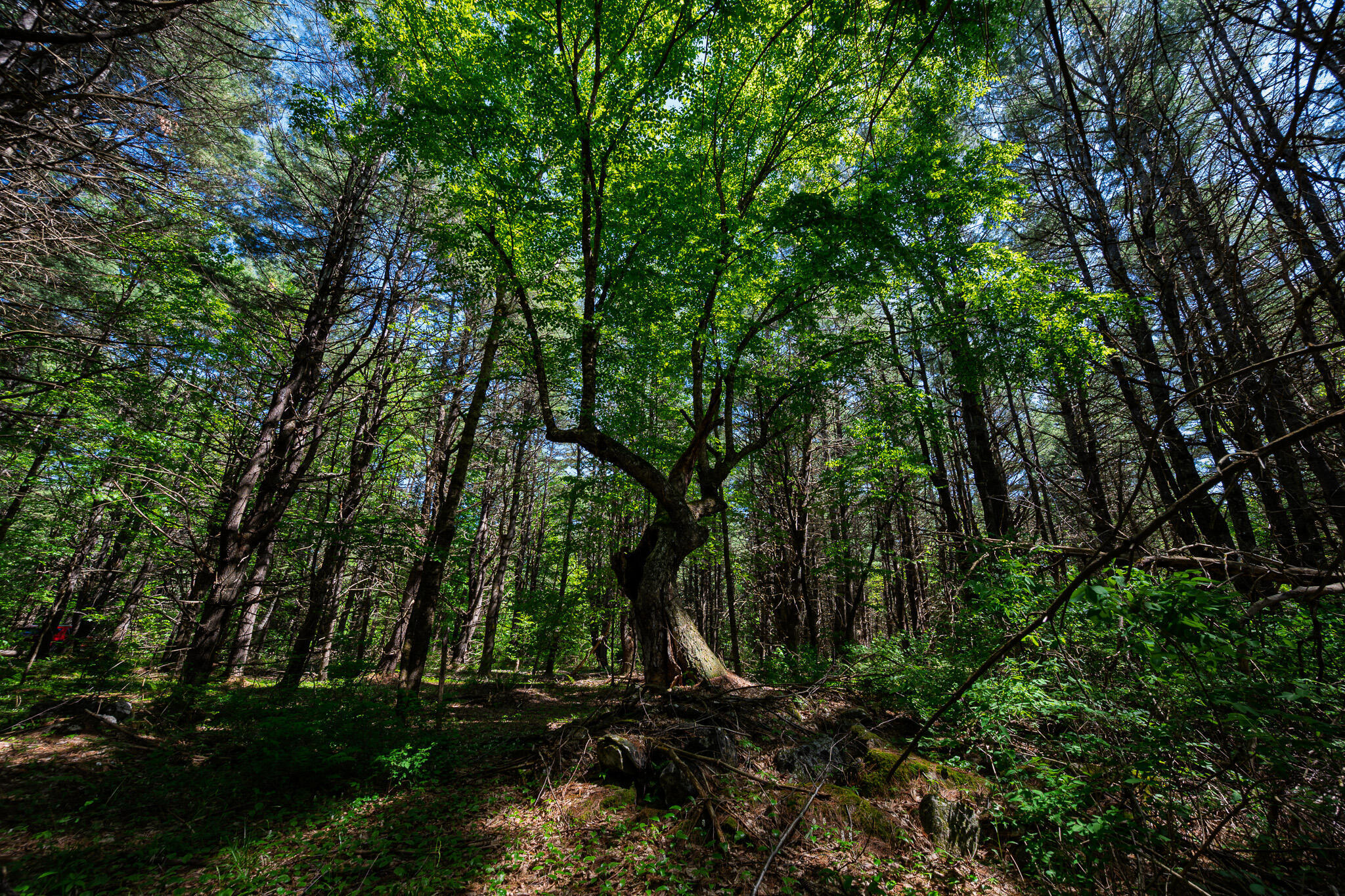 Property Photo: Lot 8 Murray Road ME 04953