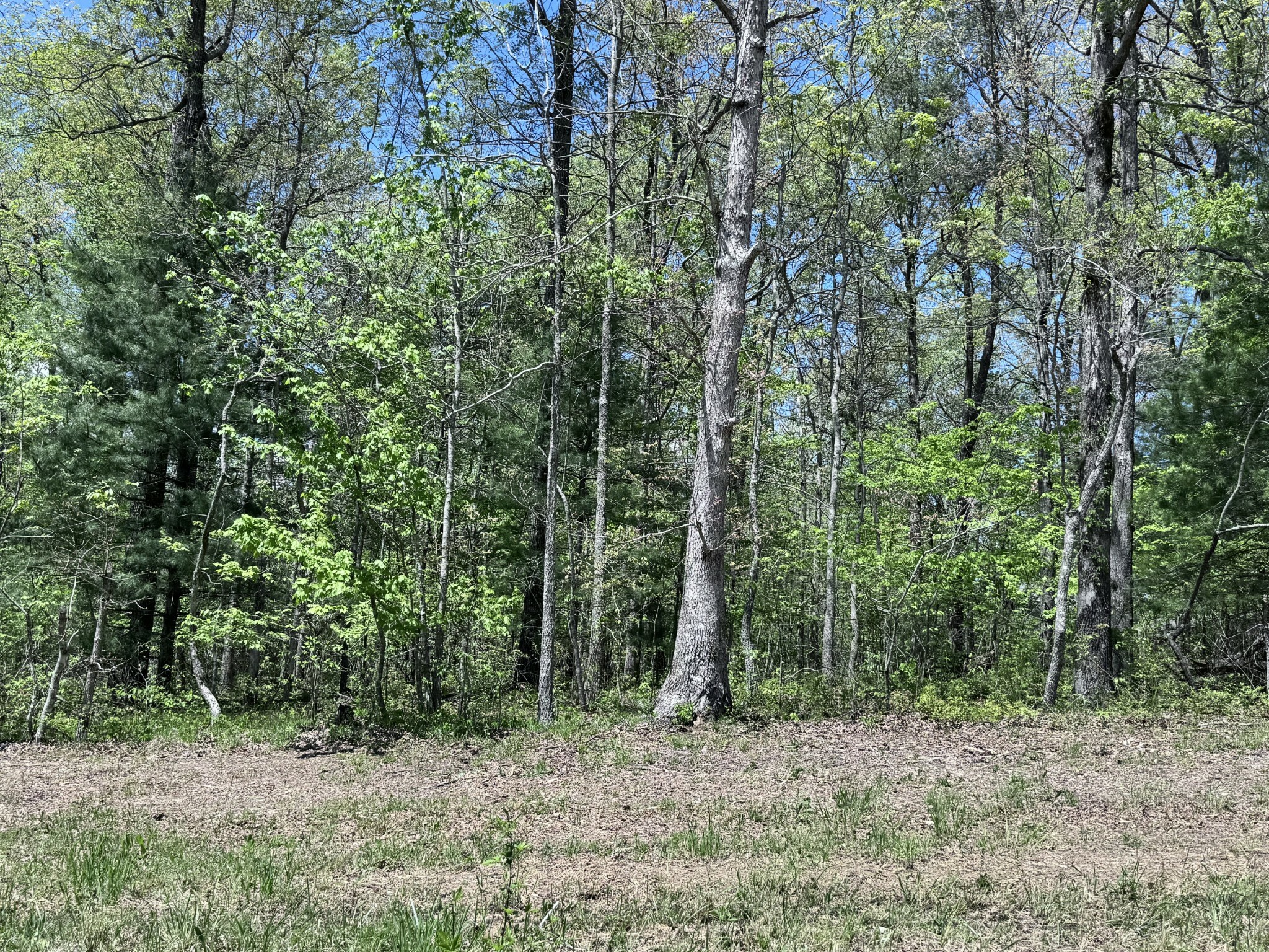 Property Photo: 1027 Natchez Trce TN 38572