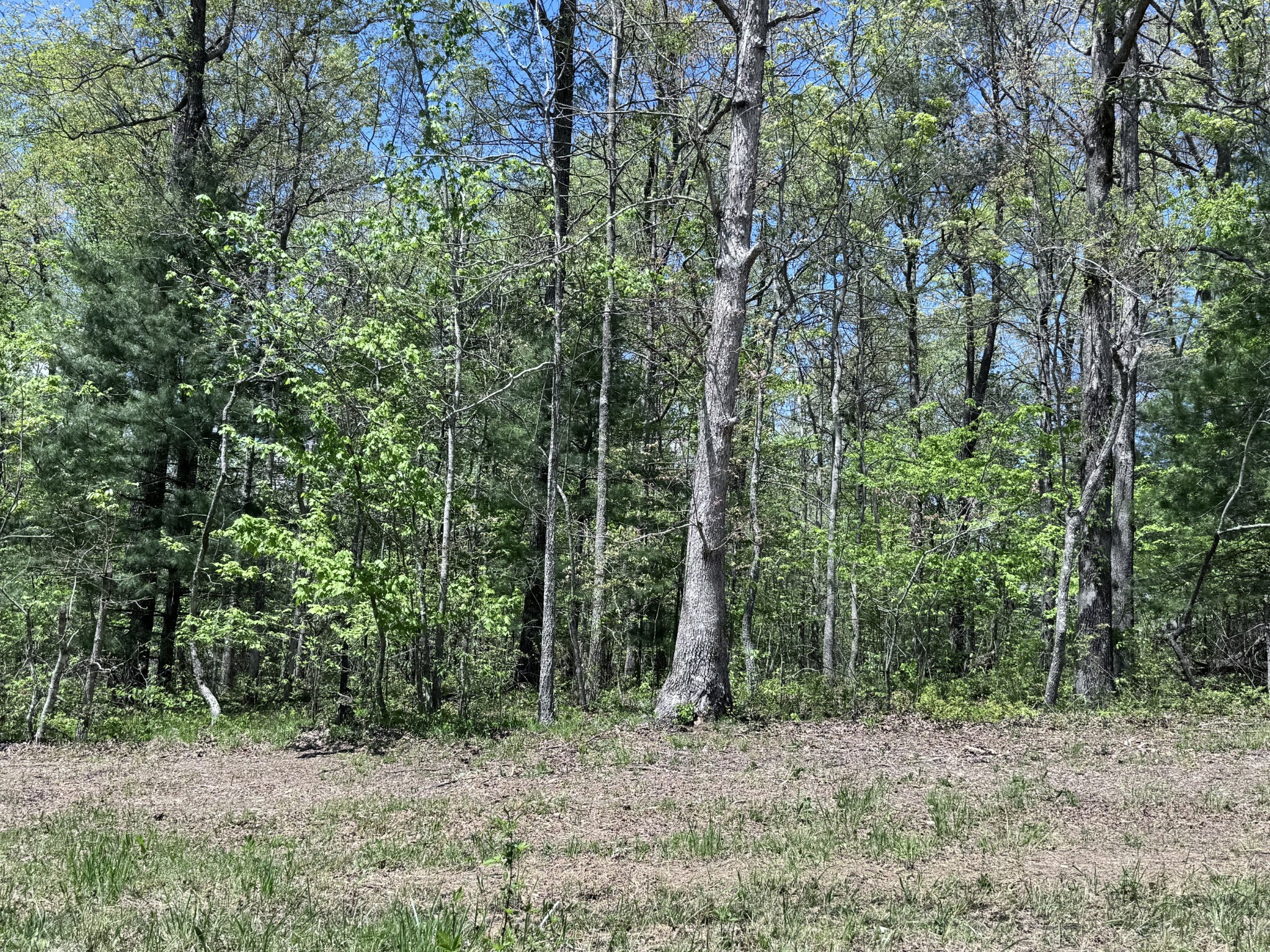 Property Photo: 1027 Natchez Trce TN 38572