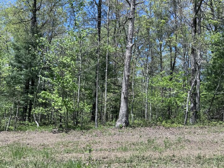 Property Photo:  1027 Natchez Trce  TN 38572