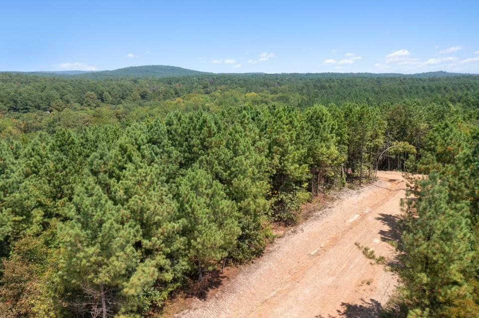 Property Photo: 411 Kaisley Blue Eye Way OK 74728