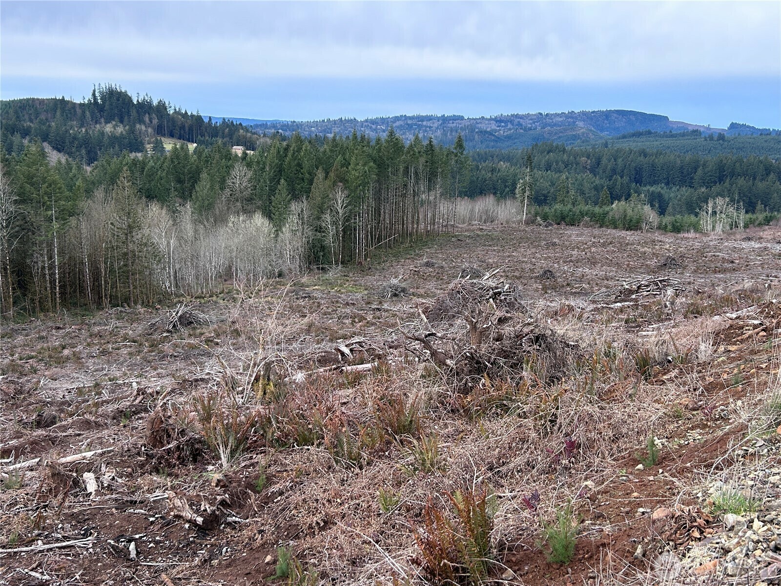 Property Photo: 0 Nka N Goble Creek Road WA 98626