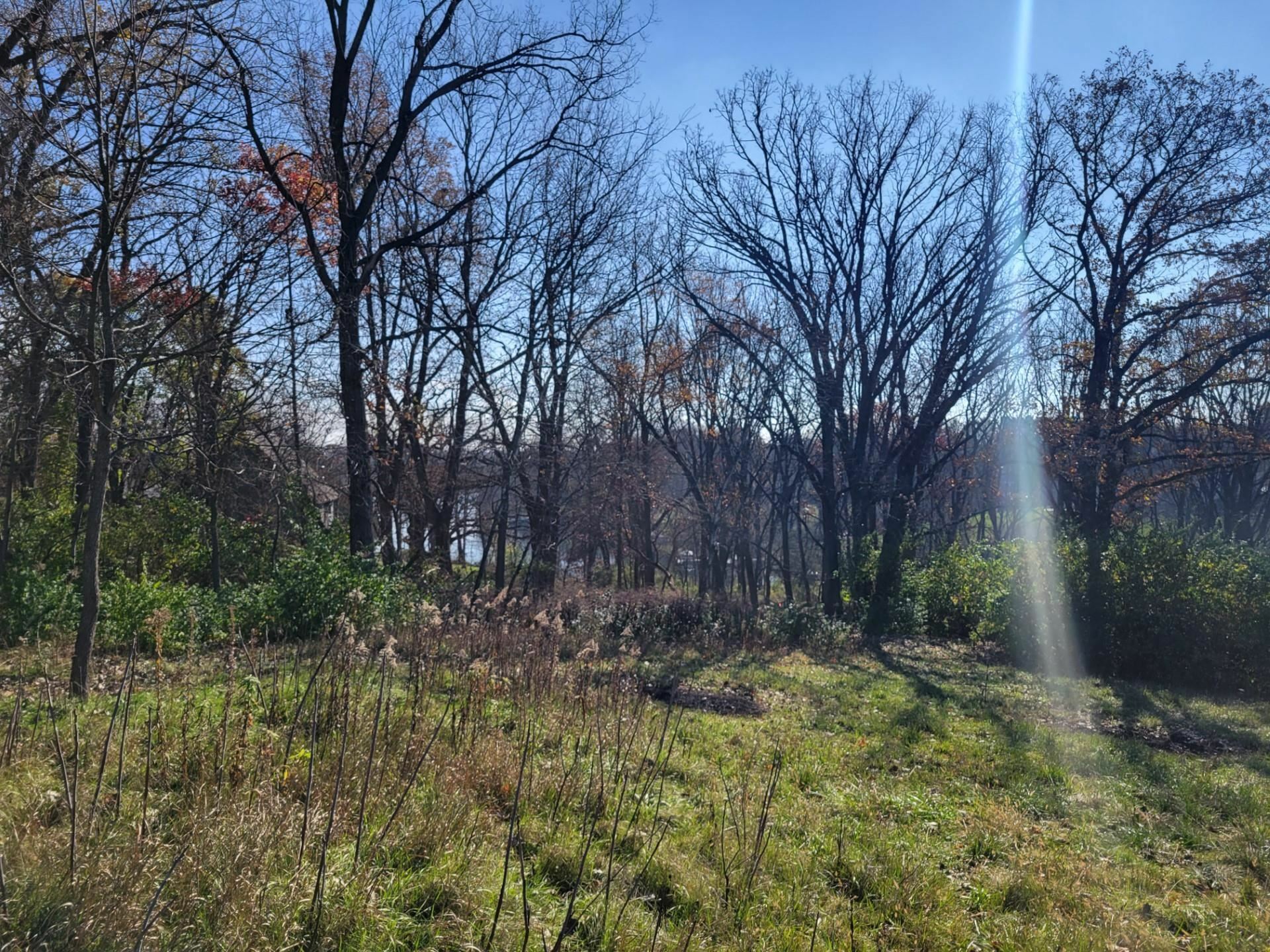 Property Photo: 2A33 Hidden Spring Lane IL 61001