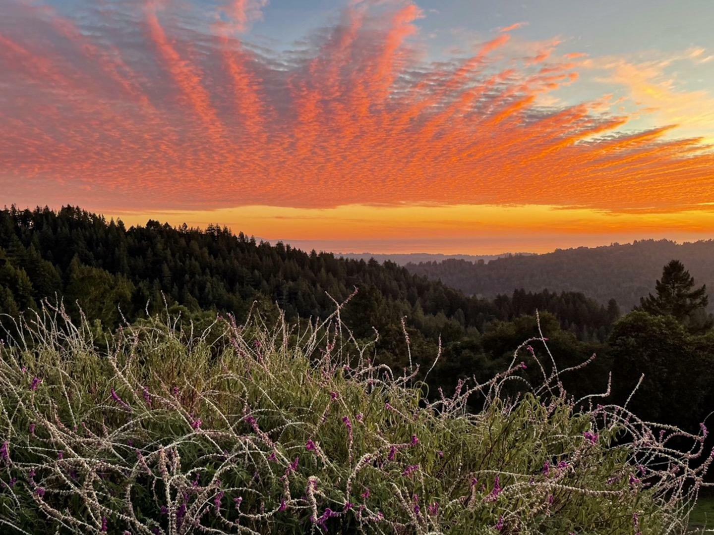 Property Photo: 1584 Tindall Ranch Road CA 95076