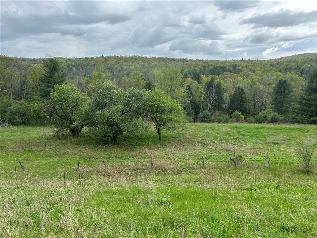 6424 State Route 417  Addison NY 14801 photo