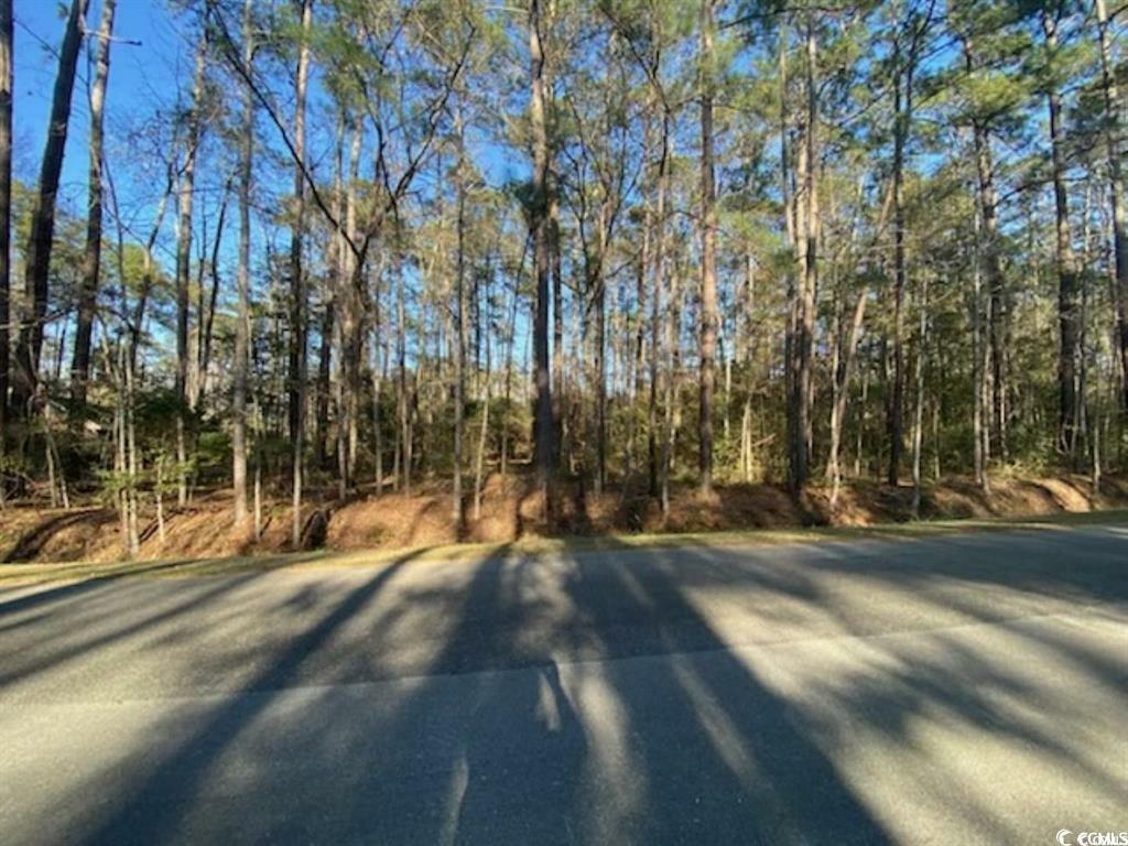 Property Photo: 5 Deer Run Rd. NC 28467
