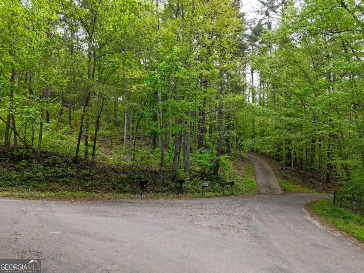 Property Photo: Tract 3C Riverside Drive GA 30546