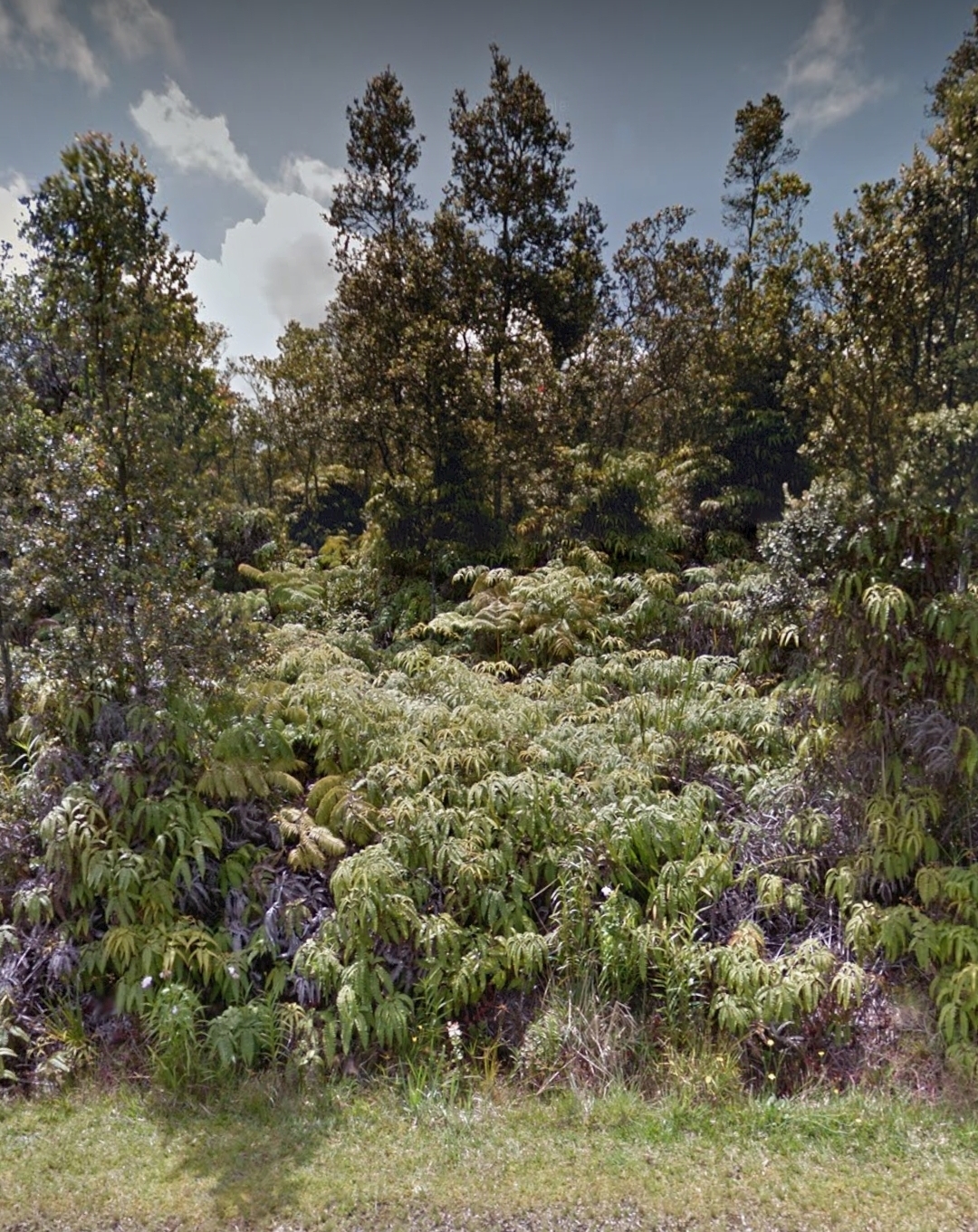 Property Photo: Mokuna St HI 96785