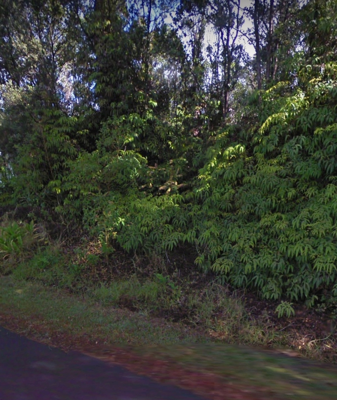 Property Photo:  Liona St  HI 96785 