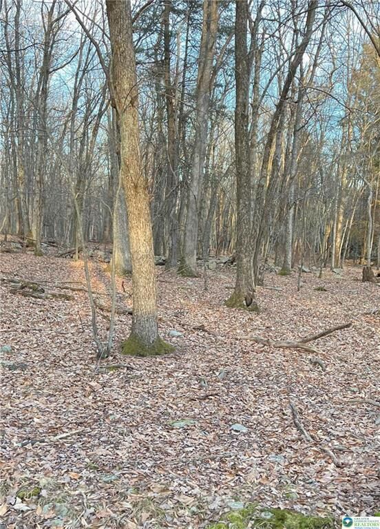 Property Photo:  80 Spokane Road  PA 18210 