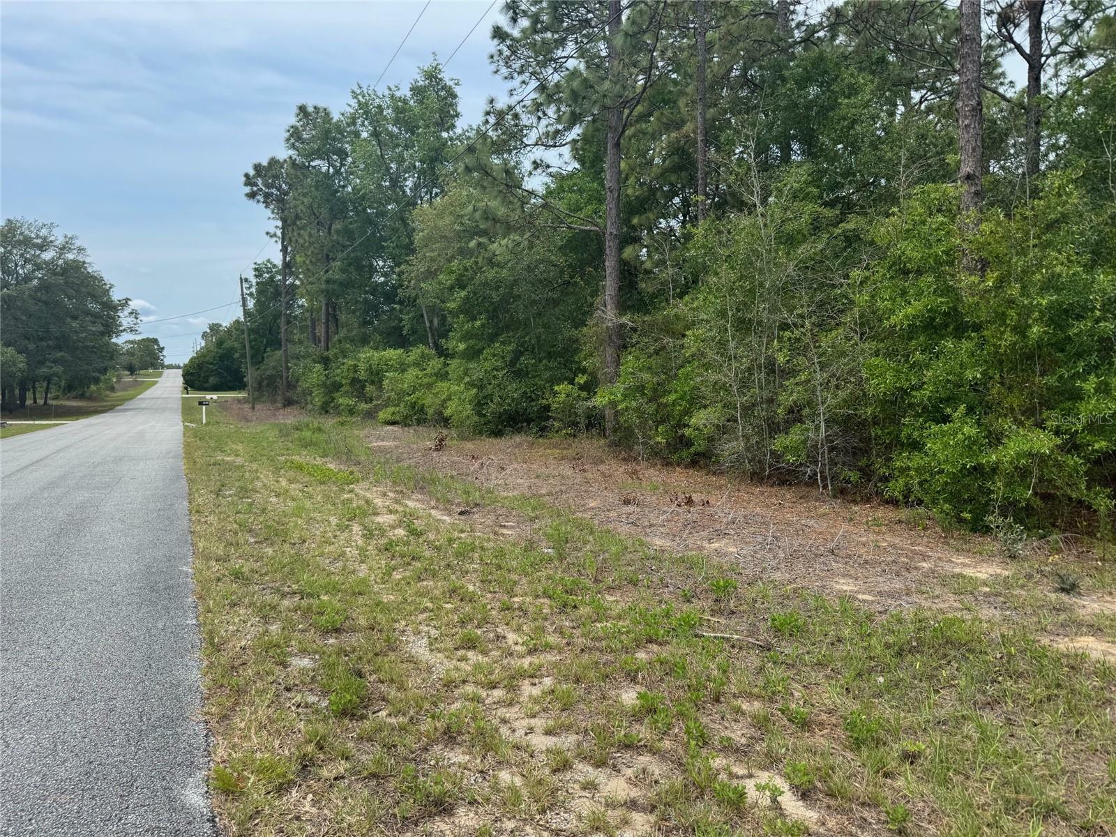 Property Photo: SW Floral Court Lot 12 FL 34431
