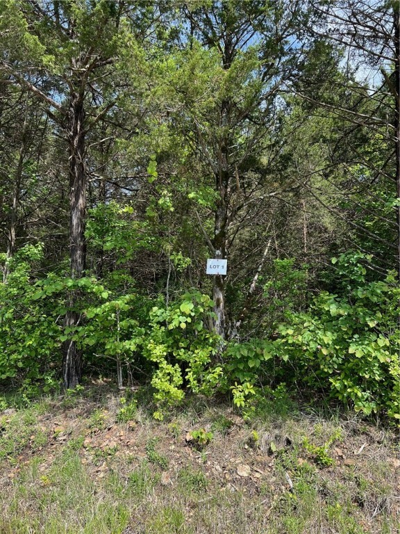 Tract 1 Hammerschmidt Road  Lead Hill AR 72644 photo