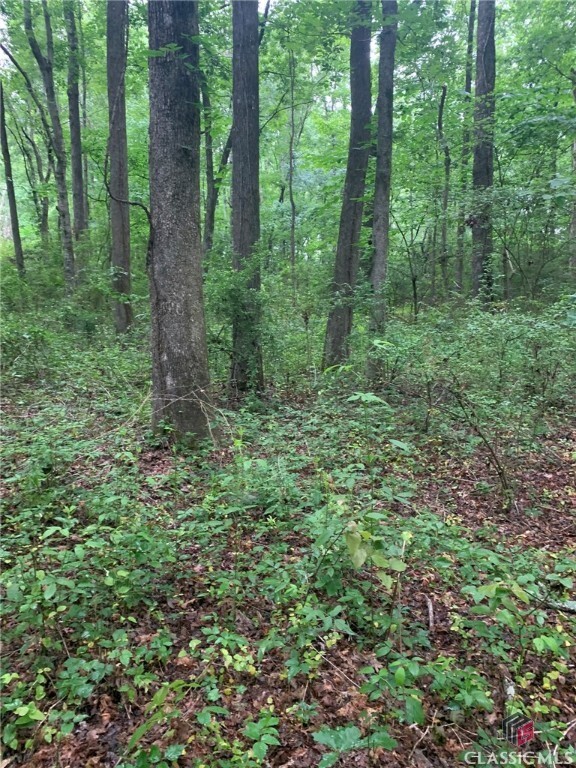 Property Photo: 7700 Poole Circle Tract B GA 30510