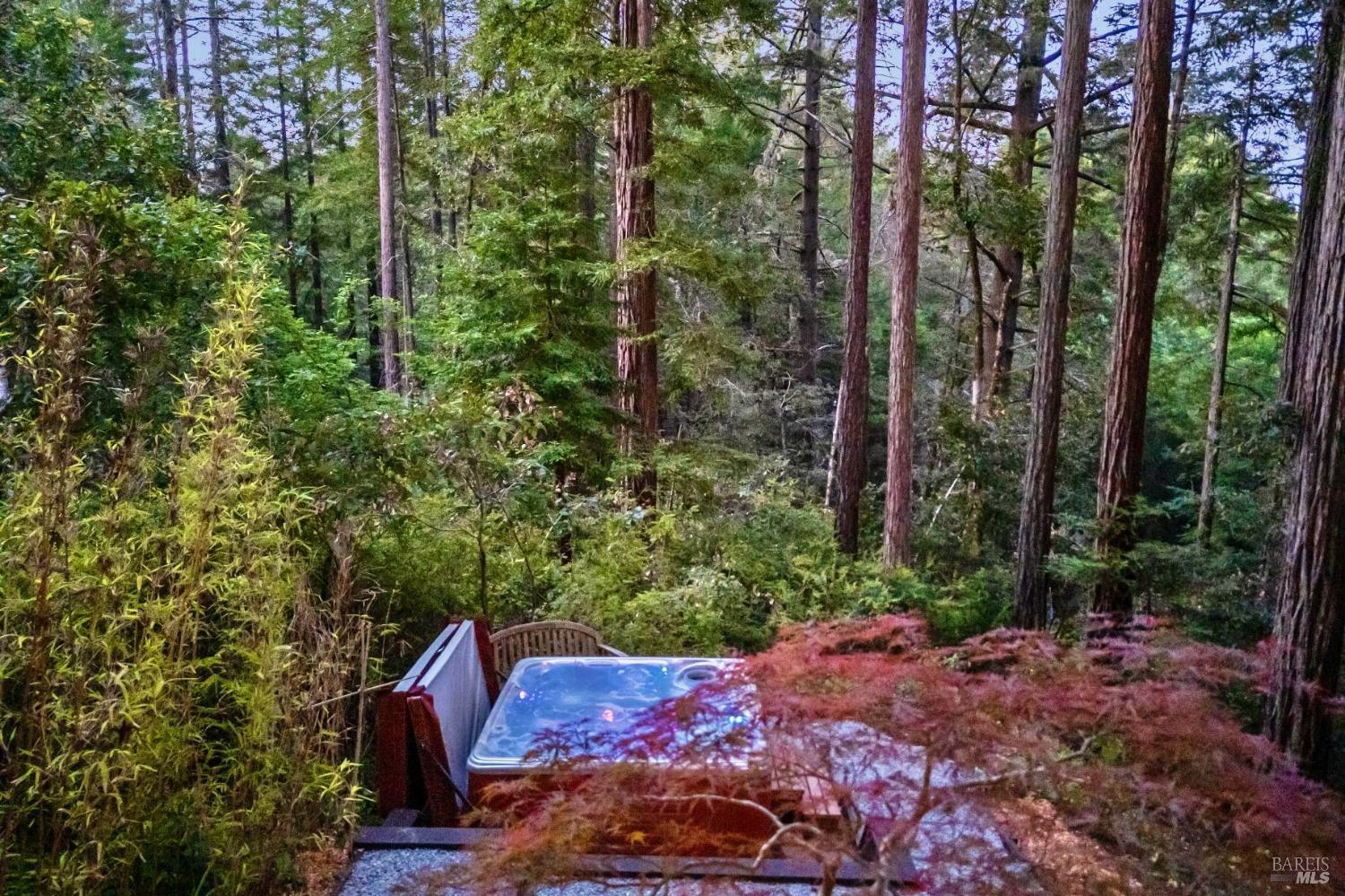 Property Photo: 18333 Old Monte Rio Road CA 95446
