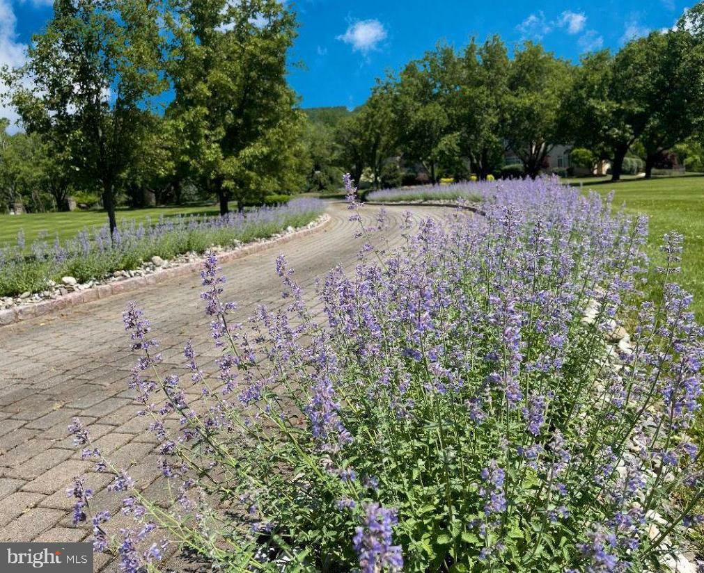 Property Photo: 6000 Atkinson Road PA 18938