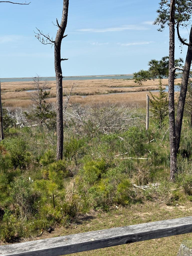 Property Photo: 21302 Wise Point Ln VA 23417