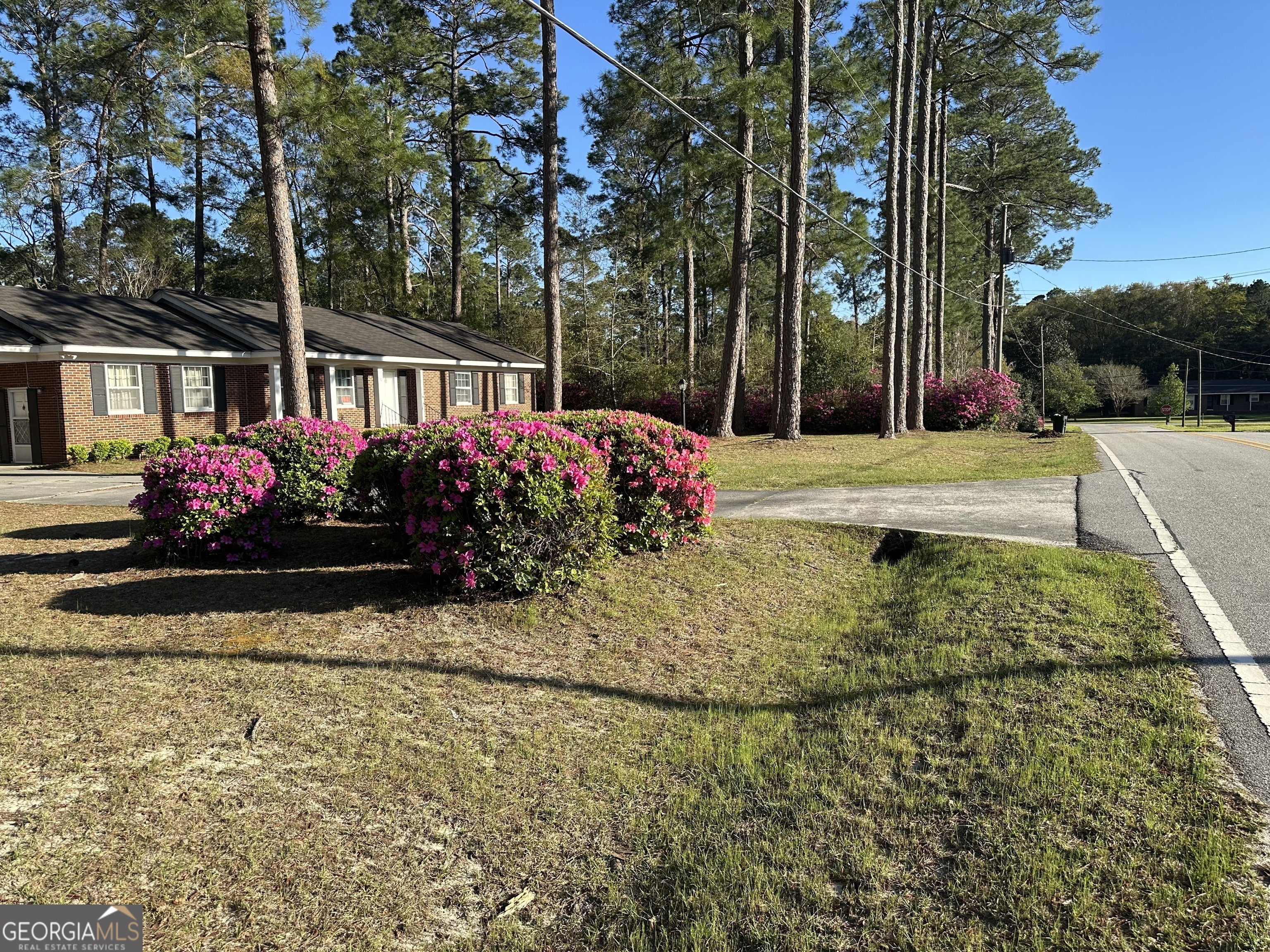 Property Photo: 102 Lynn Avenue GA 30458