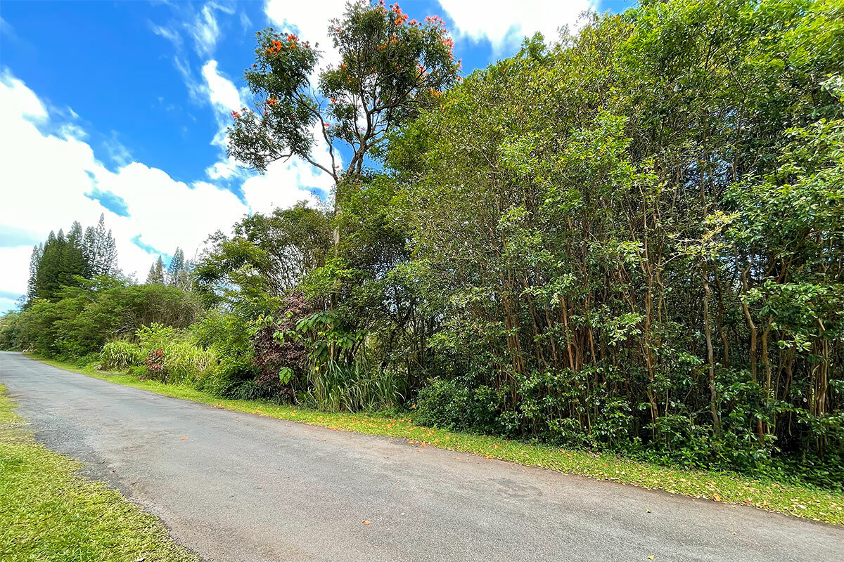 Property Photo: Ocean View Pkwy HI 96778