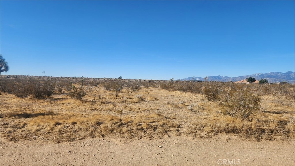 Property Photo: 0 Danbury Road CA 92371