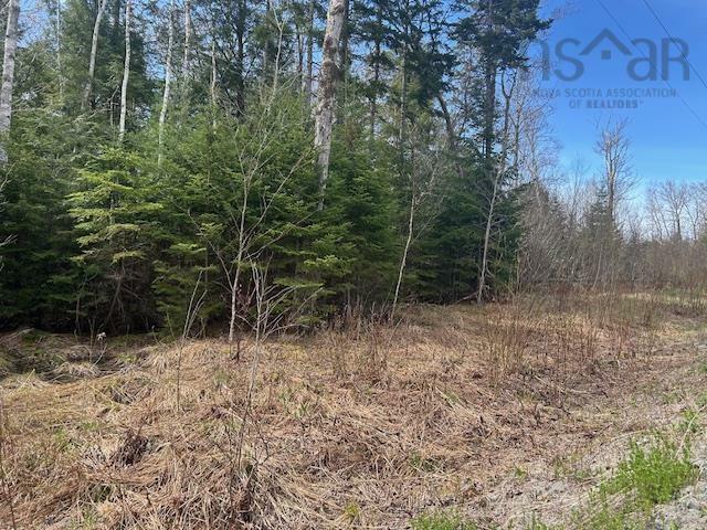 Photo de la propriété:  Lot B13 Woodville Road  NS B0N 2A0 
