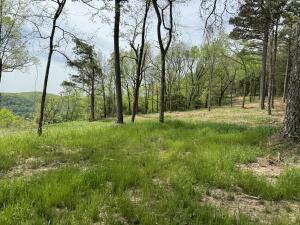 Property Photo:  Tract F Ar 7 South  AR 72641 