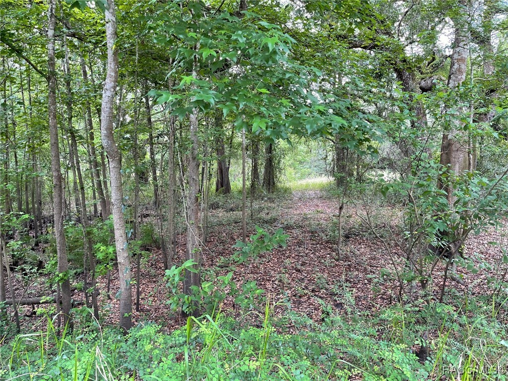 Property Photo: Tbd Cortez Boulevard FL 33523
